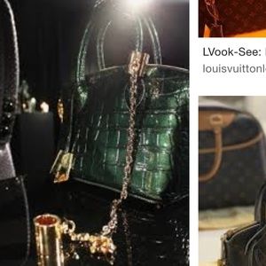 SEARCHING Louis Vuitton Bag I am searching for